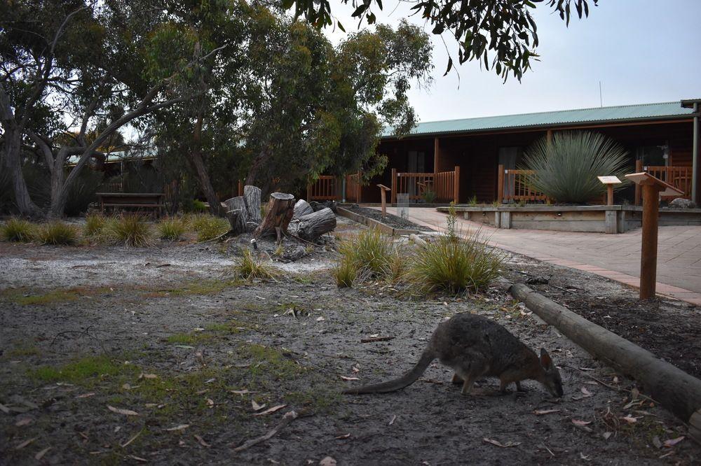 Kangaroo Island Wilderness Retreat Flinders Chase Exterior foto