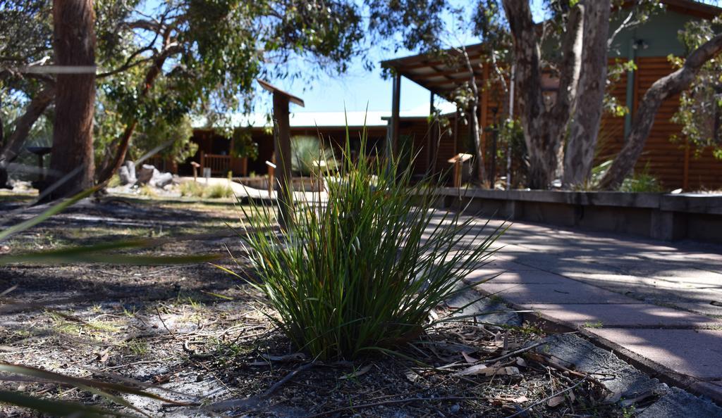 Kangaroo Island Wilderness Retreat Flinders Chase Exterior foto